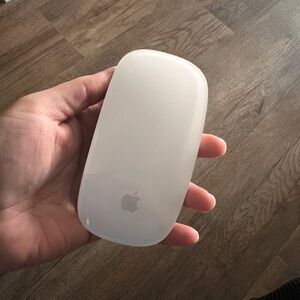 Apple Magic Mouse (USB-C)